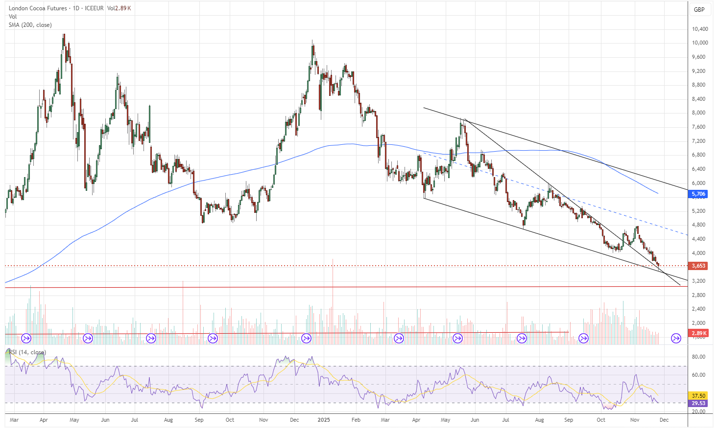 25.11.2025 - Daily Cocoa Market Report