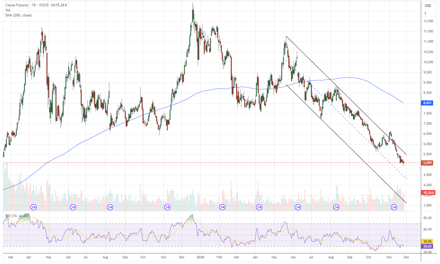 25.11.2025 - Daily Cocoa Market Report