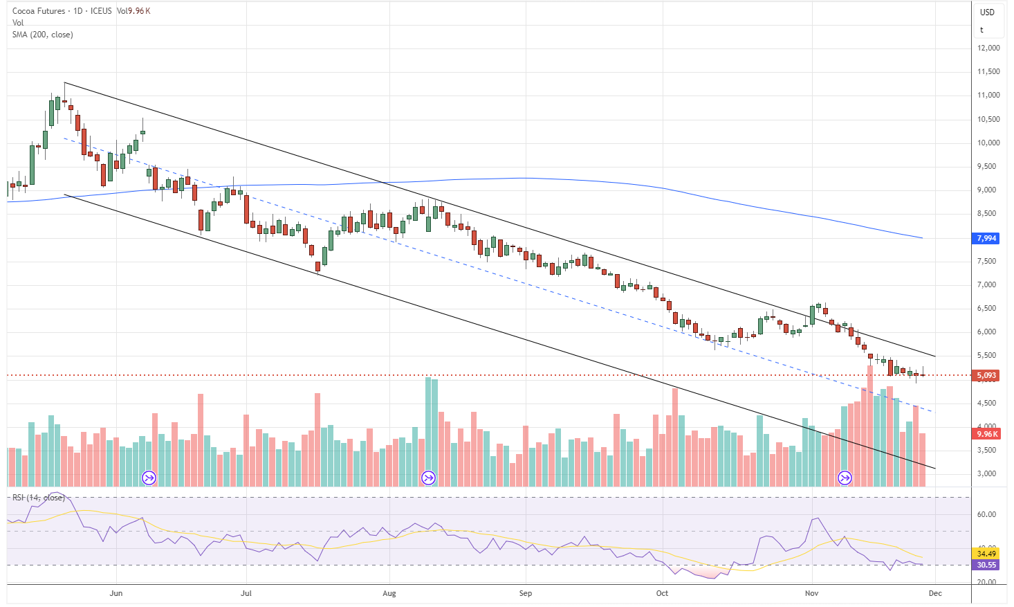 26.11.2025 - Daily Cocoa Market Report
