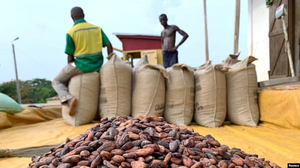Ivory Coast and Ghana After the Cocoa Crash: Who Takes the Hit Now?