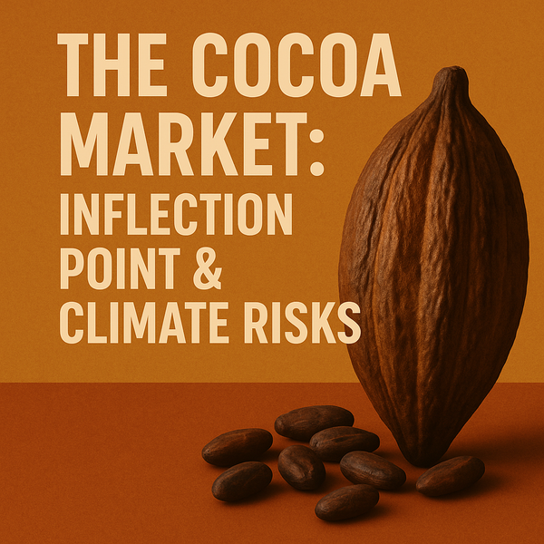 The Next Cocoa Boom: Supply Surge, Climate Crossroads, and Structural Inequality